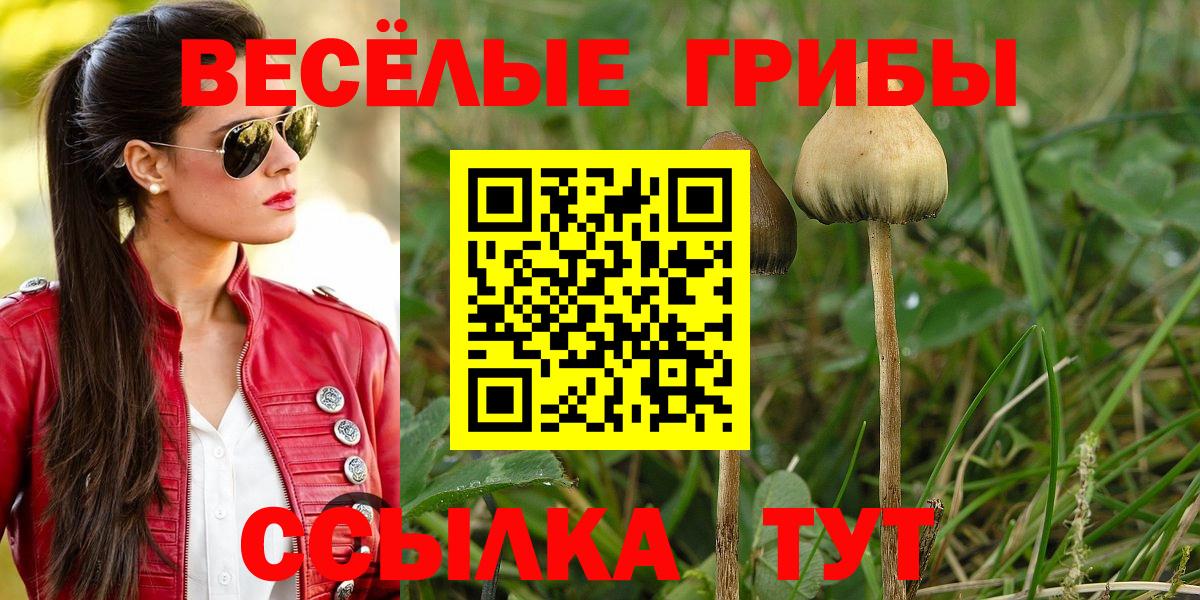 даркнет сайт  Псилоцибиновые грибы мухоморы  Псилоцибиновые грибы GOLDEN TEACHER  Вход с VPN  Геленджик 